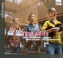 Trio Aries - Awakening, CD