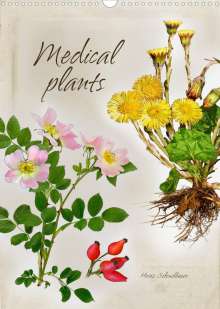 Heinz Schmidbauer: Medical plants (Wall Calendar 2022 DIN A3 Portrait), Kalender
