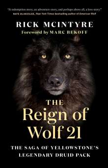 Rick McIntyre: The Reign of Wolf 21: The Saga of Yellowstone's Legendary Druid Pack, Buch