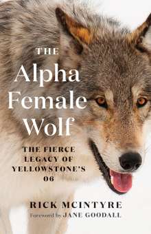 Rick McIntyre: The Alpha Female Wolf: The Fierce Legacy of Yellowstone's 06, Buch