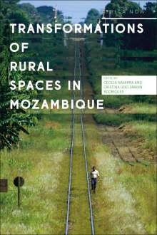 Transformations of Rural Spaces in Mozambique, Buch