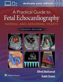 Alfred Z. Abuhamad: A Practical Guide to Fetal Echocardiography, Buch