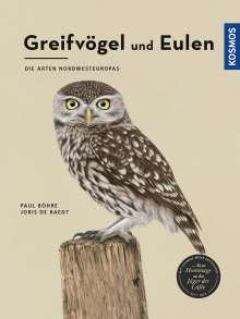 Paul Böhre: Greifvögel und Eulen, Buch