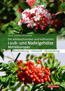 Peter A. Schmidt: Die wildwachsenden und kultivierten Laub- und Nadelgehölze Mitteleuropas, Buch
