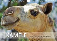 Sabine Reining: KAMELE... eine Reise durch den Oman. (Wandkalender 2022 DIN A4 quer), Kalender