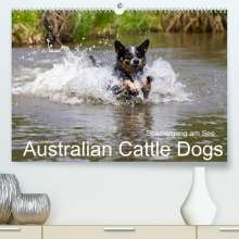 Fotodesign Verena Scholze: Spaziergang am See Australian Cattle Dogs (Premium, hochwertiger DIN A2 Wandkalender 2022, Kunstdruck in Hochglanz), Kalender