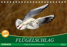 Axel Kottal Claudia Elsner: Flügelschlag - Vögel in ihrem natürlichen Lebensraum (Tischkalender 2022 DIN A5 quer), Kalender