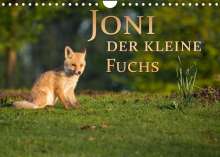 Marcello Zerletti: Joni, der kleine Fuchs (Wandkalender 2022 DIN A4 quer), Kalender