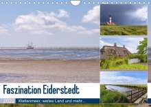 Axel Matthies: Faszination Eiderstedt (Wandkalender 2022 DIN A4 quer), Kalender