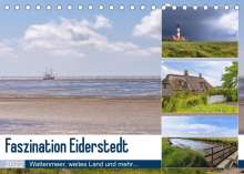 Axel Matthies: Faszination Eiderstedt (Tischkalender 2022 DIN A5 quer), Kalender