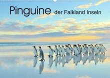 Elmar Weiss: Pinguine der Falkland Inseln (Wandkalender 2022 DIN A2 quer), Kalender