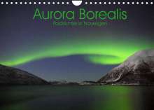 Elmar Weiss: Aurora Borealis: Polarlichter in Norwegen (Wandkalender 2022 DIN A4 quer), Kalender
