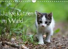 Dorothea Oldani: Junge Katzen im Wald (Wandkalender 2022 DIN A4 quer), Kalender