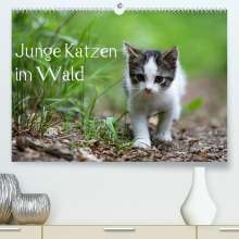 Dorothea Oldani: Junge Katzen im Wald (Premium, hochwertiger DIN A2 Wandkalender 2022, Kunstdruck in Hochglanz), Kalender
