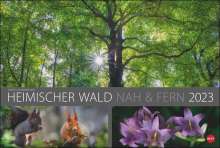 Heinz Schmidbauer: Wald nah und fern Edition Kalender 2023, Kalender