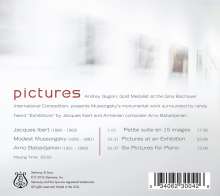Andrey Gugnin - Pictures, CD