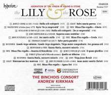 The Lily and the Rose - Adoration of the Virgin in Sound &amp; Stone, CD