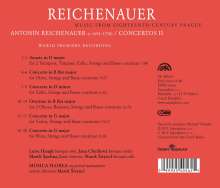 Johann Anton Reichenauer (1694-1730): Concerti II, CD