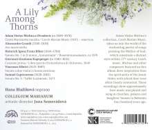 Hana Blazikova – A Lily Among Thorns, CD