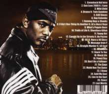 Prodigy (Rap): From the beast, CD