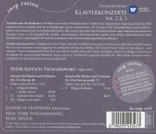 Peter Iljitsch Tschaikowsky (1840-1893): Klavierkonzerte Nr.2 &amp; 3, CD