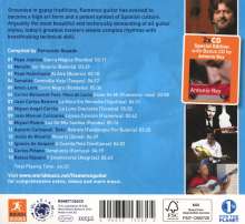 The Rough Guide To Flamenco Guitar, 2 CDs