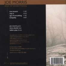 Joe Morris (Guitar, Bass) (geb. 1955): Age Of Everything, CD