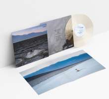 Jesse Mac Cormack: Now (Limited-Edition) (Milky Clear Vinyl), LP
