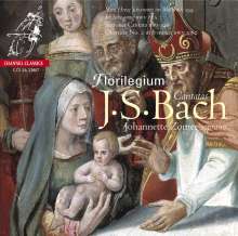 Johann Sebastian Bach (1685-1750): Kantaten BWV 82 &amp; 199, Super Audio CD