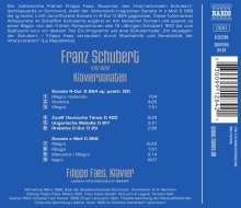 Franz Schubert (1797-1828): Klaviersonaten D.664 &amp; 958, CD