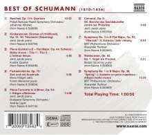 Naxos-Sampler "Best of Schumann", CD