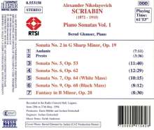 Alexander Scriabin (1872-1915): Klaviersonaten Nr.2,5-7,9, CD