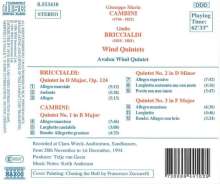 Giulio Briccialdi (1818-1881): Bläserquintett op.124, CD