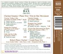Arnold Bax (1883-1953): Klaviertrio B-Dur, CD