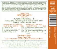 Ludwig van Beethoven (1770-1827): Symphonien Vol.1 (arr. für Flöte &amp; Klaviertrio), CD