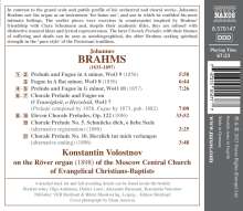 Johannes Brahms (1833-1897): Sämtliche Orgelwerke, CD