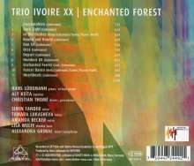 Hans Lüdemann (geb. 1961): Enchanted Forest, CD