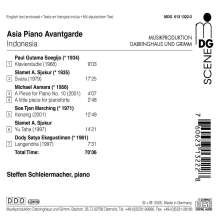 Steffen Schleiermacher - Asia Piano Avantgarde (Indonesia), CD
