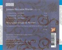 Johann Melchior Molter (1696-1765): Klarinettenkonzerte Nr.1,3,4, CD