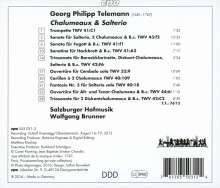 Georg Philipp Telemann (1681-1767): Chalumeaux &amp; Salterio - Kammermusik mit Hackbrett, CD