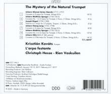 The Mystery of the Natural Trumpet, CD