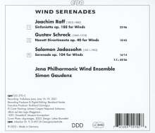Joachim Raff (1822-1882): Sinfonietta op.188 für Bläser, CD