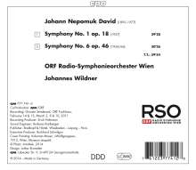 Johann Nepomuk David (1895-1977): Symphonien Nr.1 &amp; 6, CD