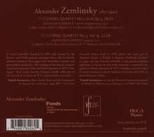 Alexander von Zemlinsky (1871-1942): Streichquartette Nr.1 &amp; 3, CD