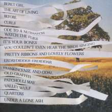 Bibio (Stephen Wilkinson): Ribbons, CD