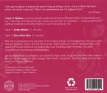 Mirabai Ceiba: The Heart Of Healing, CD