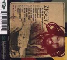 Ziggy Marley: Wild And Free, CD