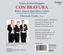 Franz Doppler (1821-1883): Kammermusik mit Flöte, CD