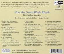 Stockholm Cathedral Choir - Now the Green Blade Riseth, Super Audio CD