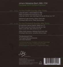Johann Sebastian Bach (1685-1750): Bach Cantata Pilgrimage Recordings 6 (Gardiner), 2 CDs
